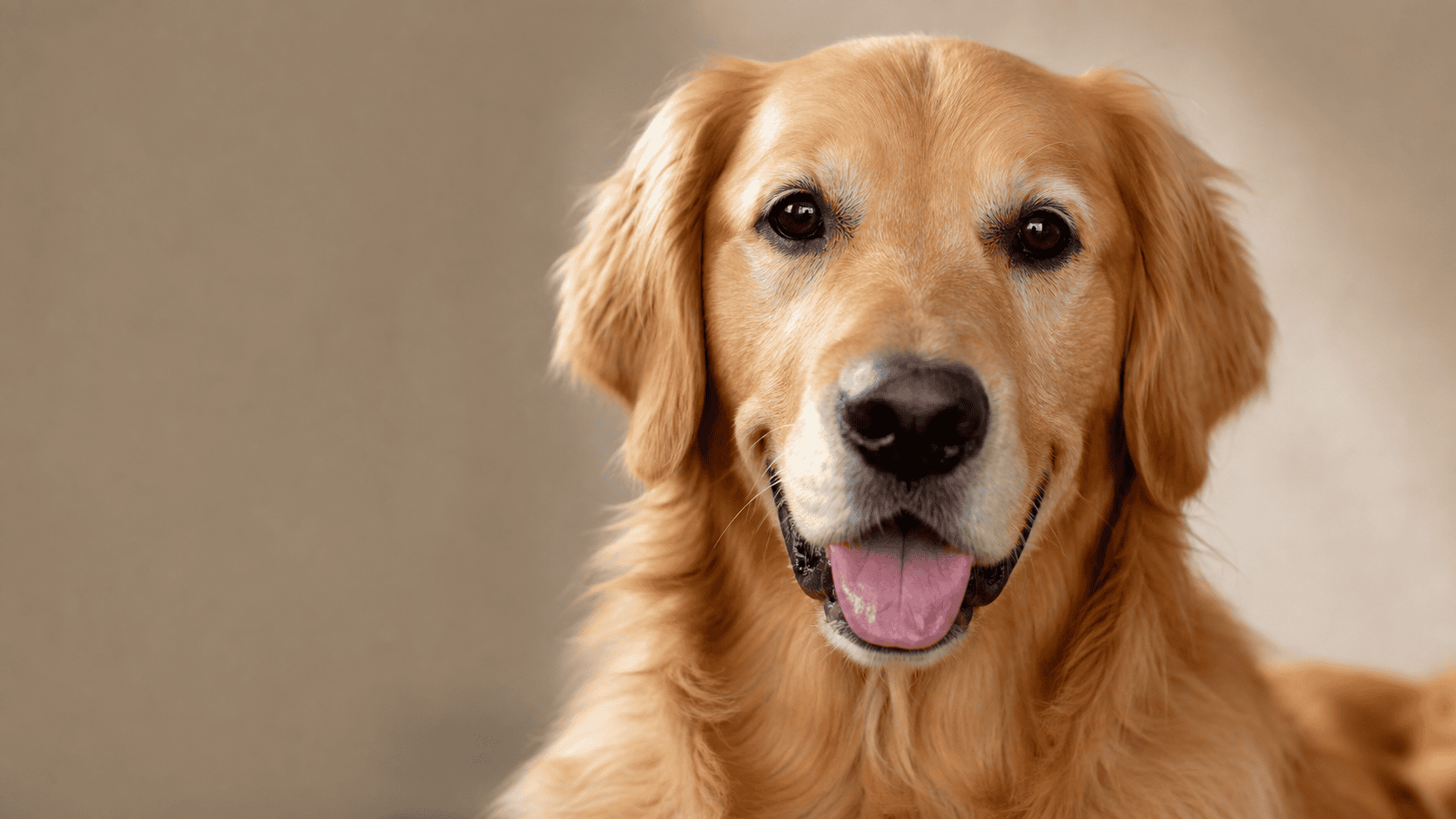 A clear, friendly face for profiles and sharing.